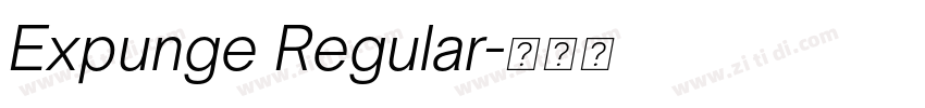 Expunge Regular字体转换